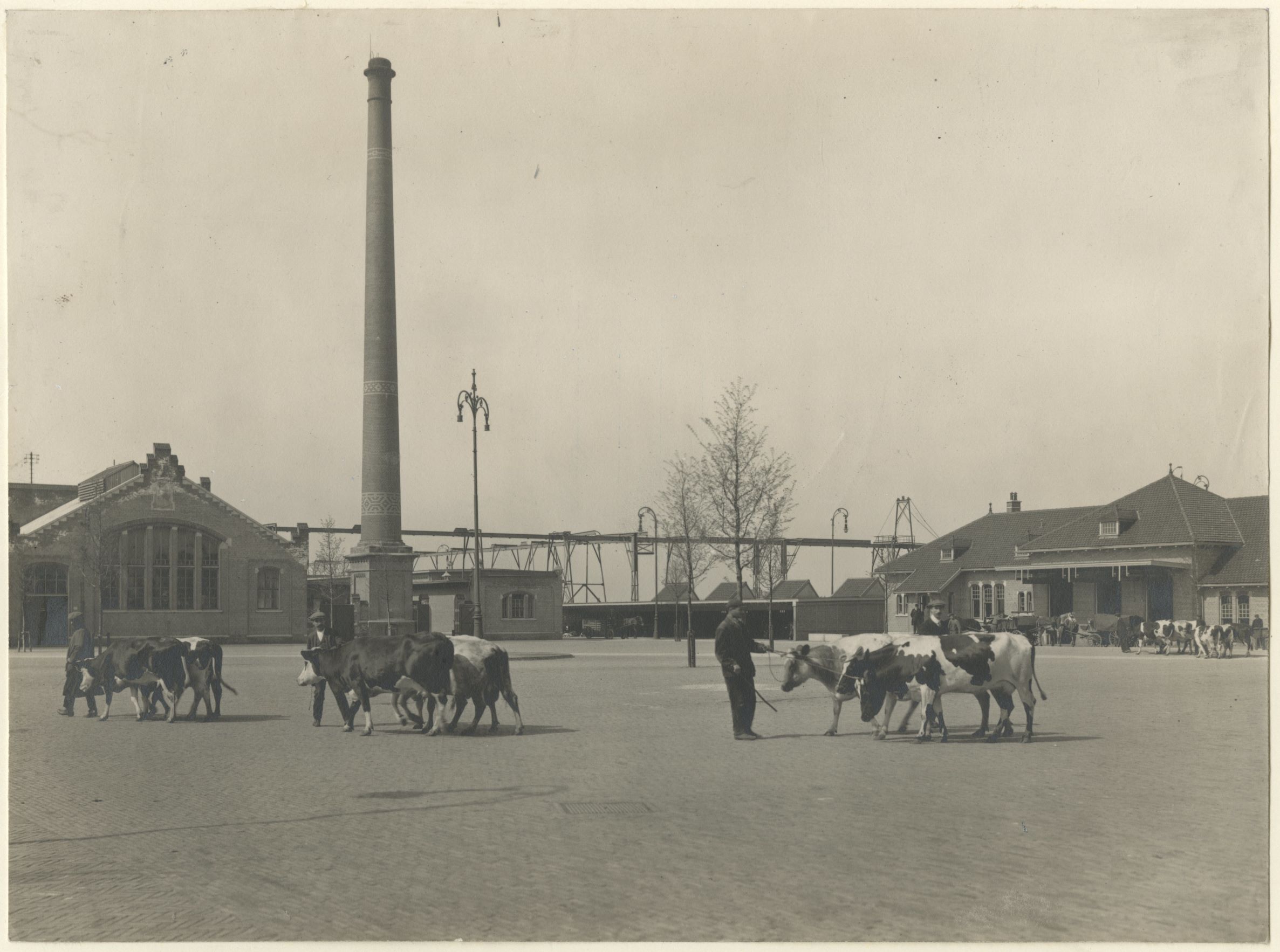 Gemeentelijk slachthuis - Dienst Stadsontwikkeling en Volkshuisvesting 1912