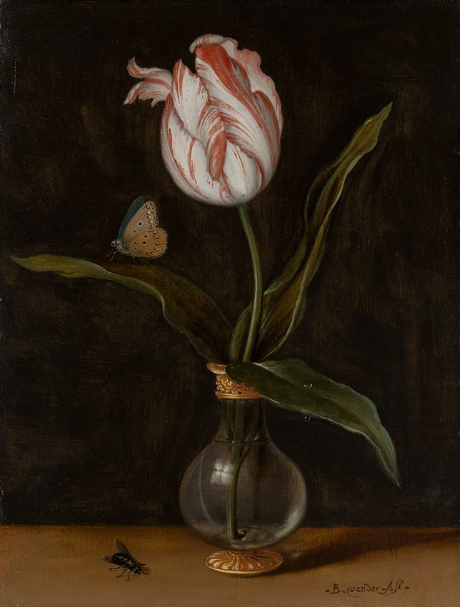 Vaasje met enkele tulp ca. 1625 Kunstenaar Balthasar van der Ast collectie Mauritshuis