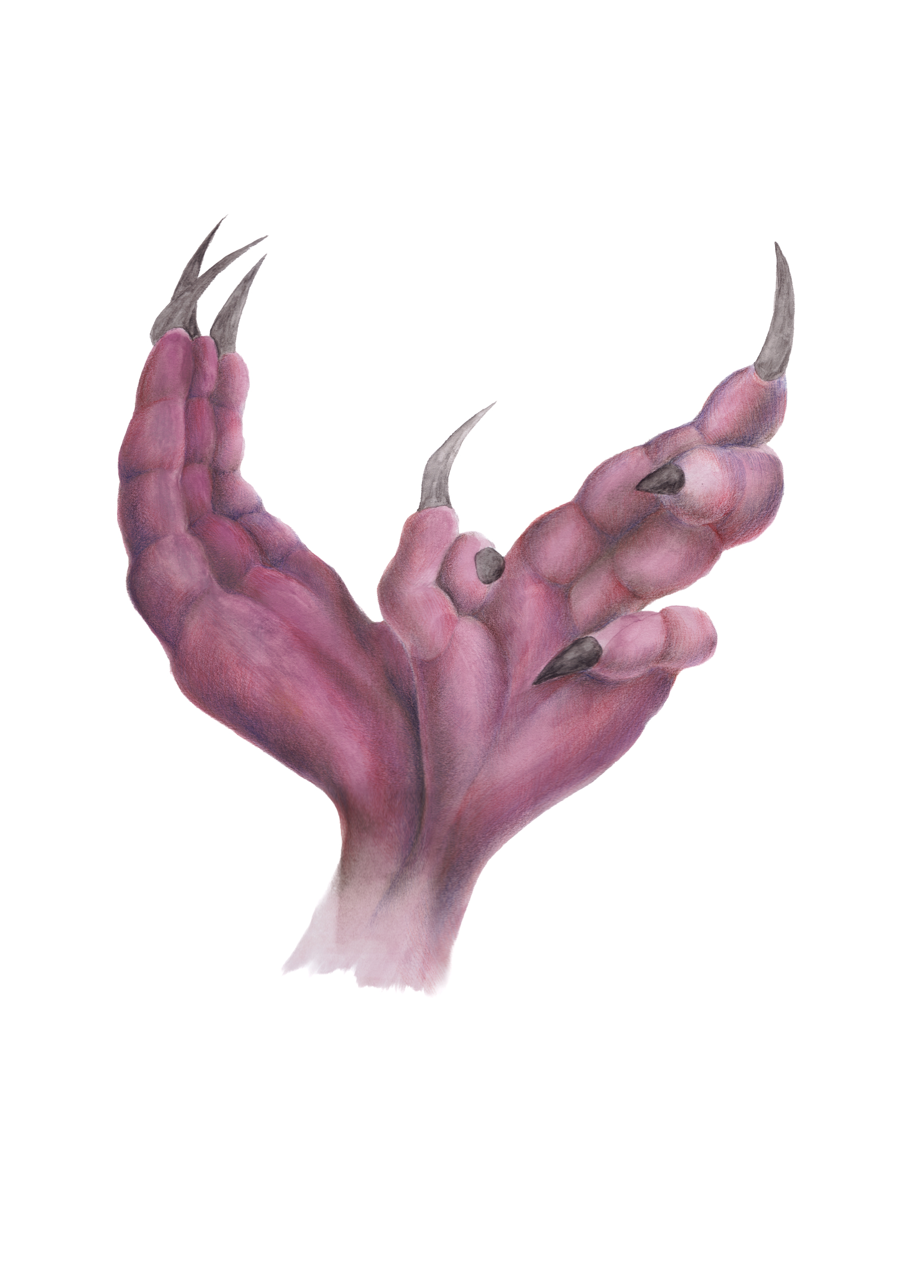 Morphing hands 2