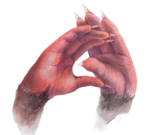 morphing hands - Kexin Hao