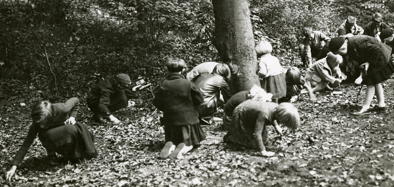 Beukennootjes zoeken in de Scheveningsebosjes, Polygoon, 1936