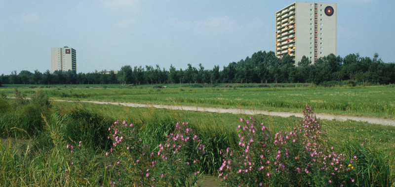 1990, Recreatiegebied De Uithof met op de achtergrond de hoge flats aan de Lozerlaan | Fotograaf: P.G. Kempff