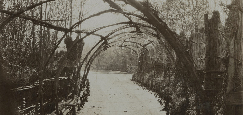 15 juli 1923, Zuiderpark, gezicht op een van de z.g. pijpen (eendenkooi) | Foto: Dienst voor de Gemeenteplantsoenen